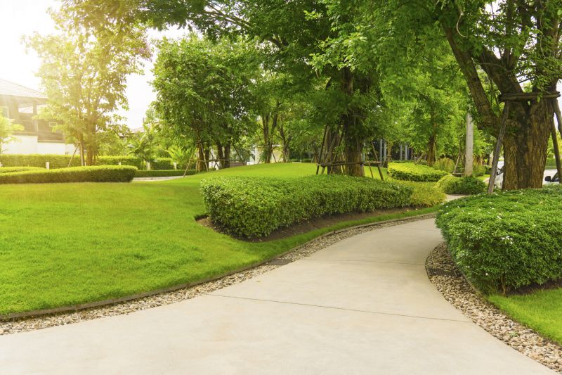 Concrete Walkway Installation in Boulder, CO