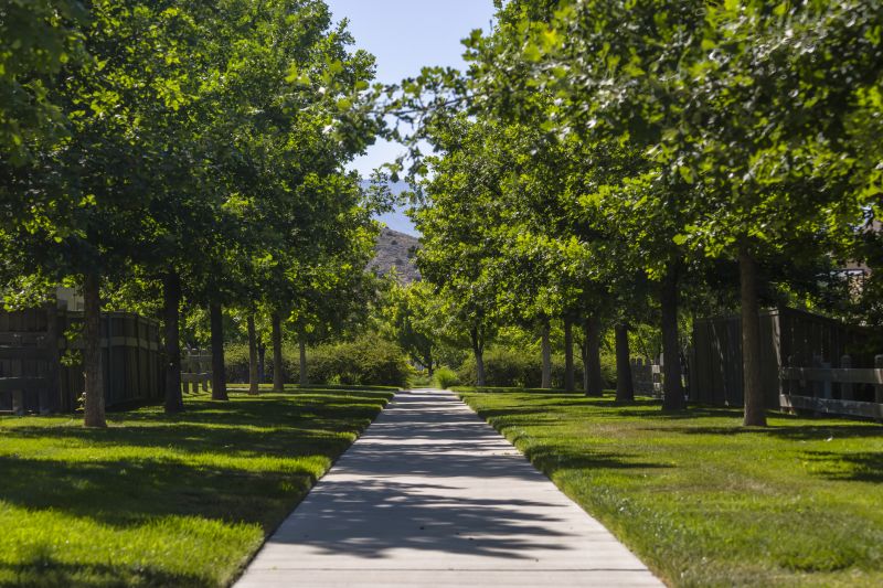 Concrete Walkway Installation in Conifer, CO
