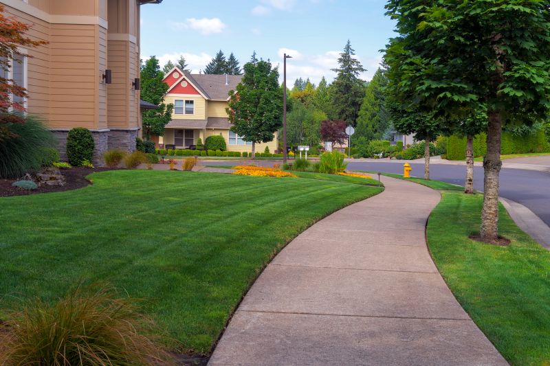 Sidewalk Addition in Denver, CO